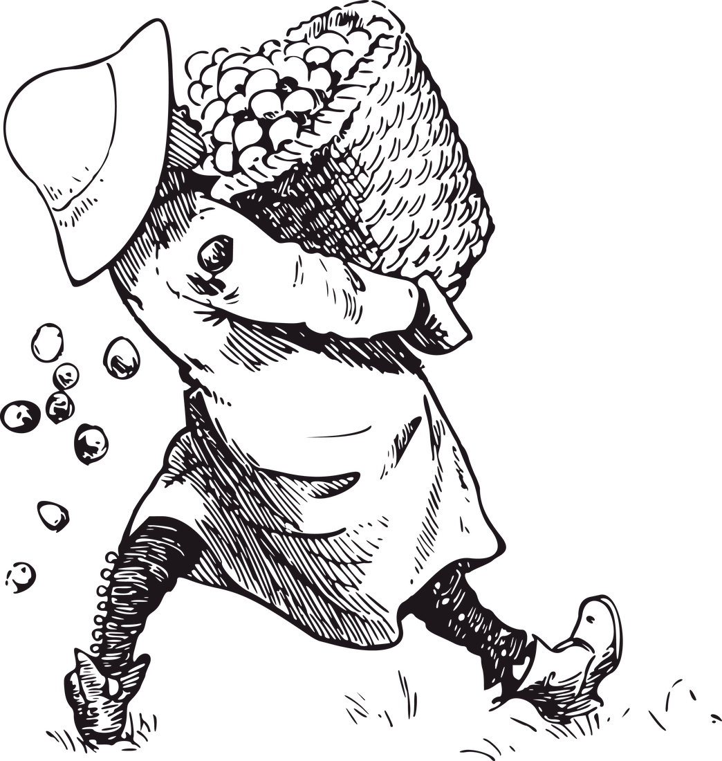 Erntejunge