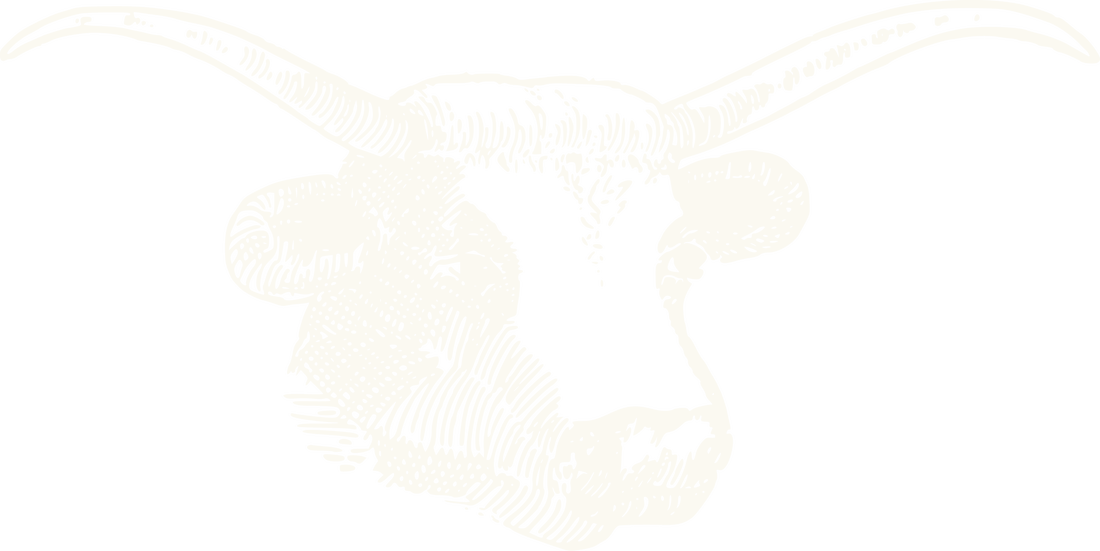 Strichzeichnung Rind